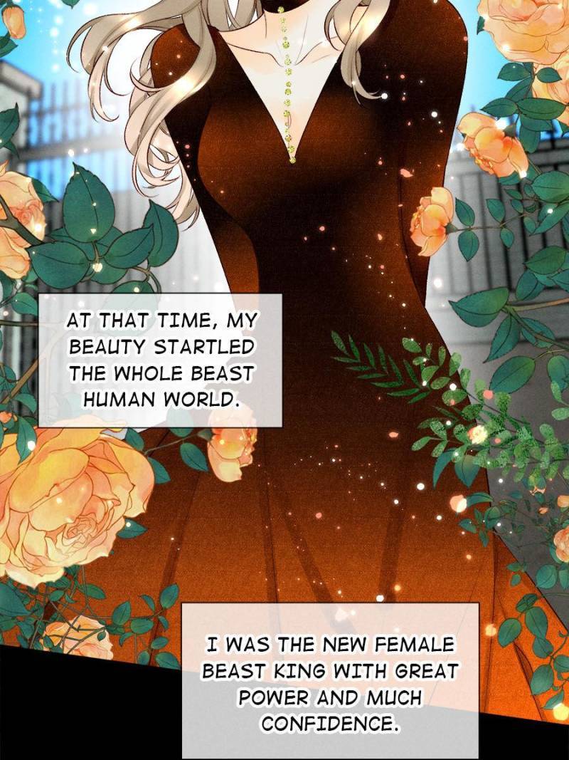 Page 35 of Chapter 217
