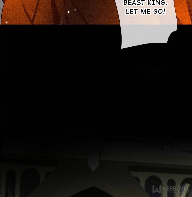 Page 42 of Chapter 217