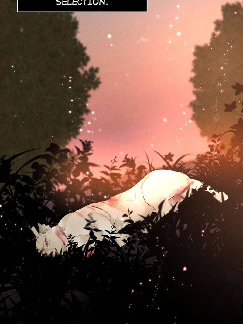 Page 16 of Chapter 218