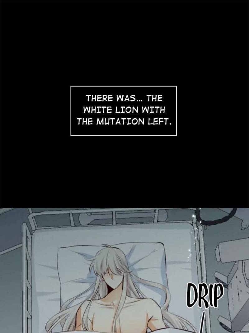 Page 37 of Chapter 218