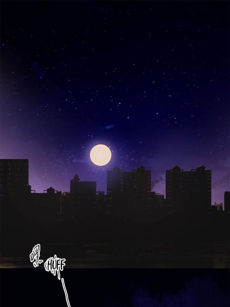 Page 19 of Chapter 41