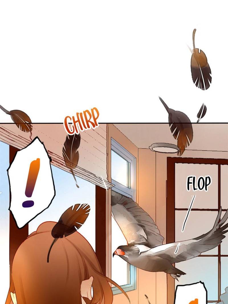 Page 1 of Chapter 50