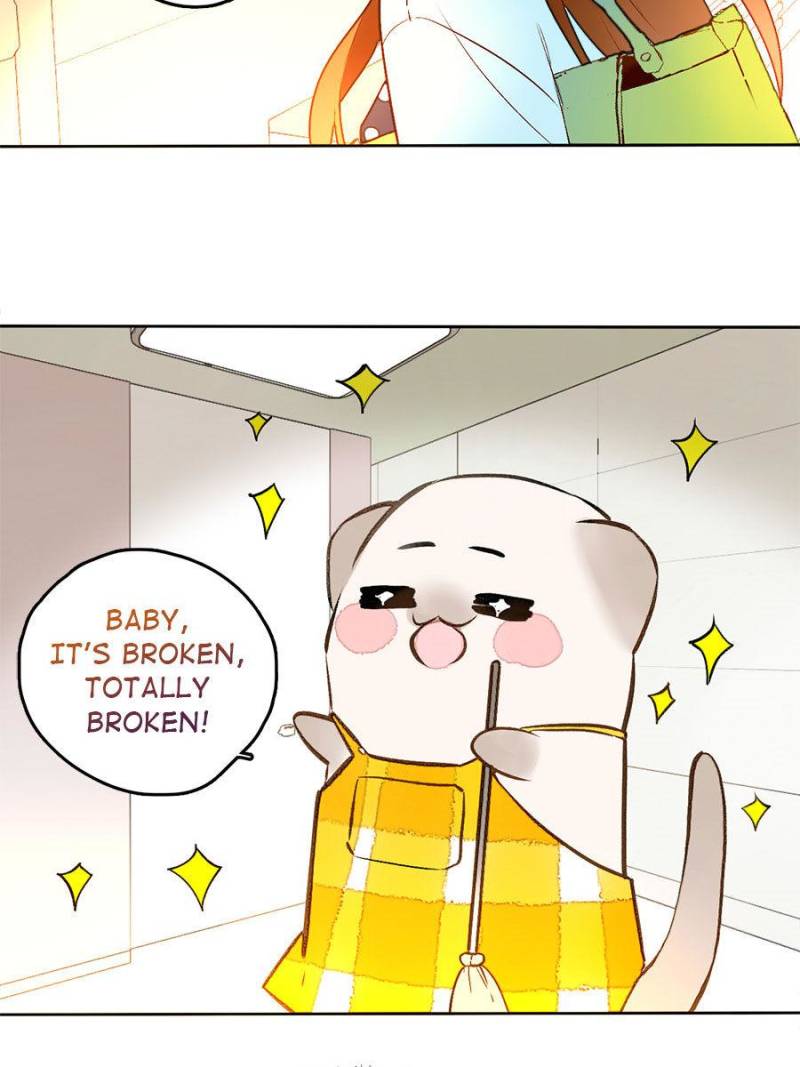 Page 19 of Chapter 61