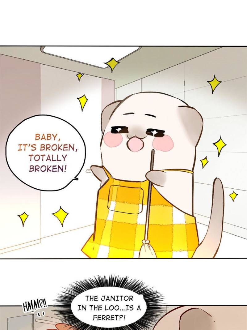 Page 1 of Chapter 62