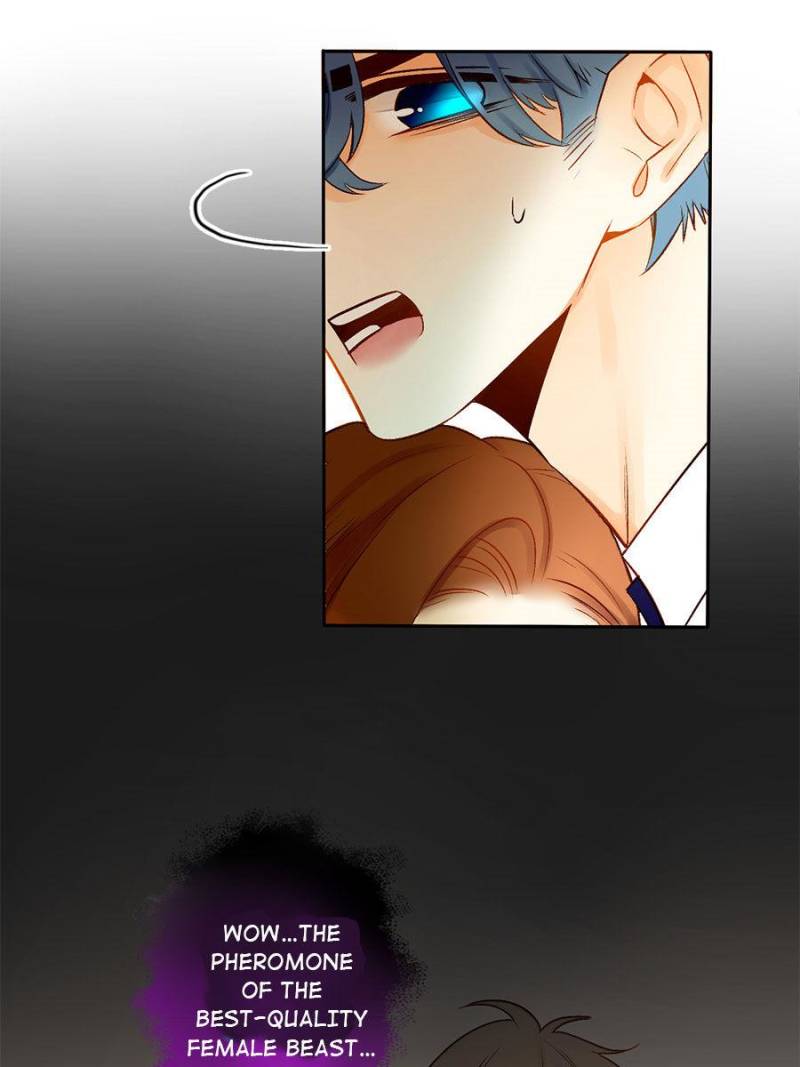 Page 37 of Chapter 68