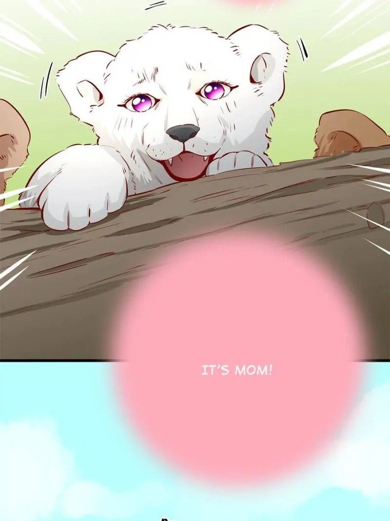 Page 4 of Chapter 91