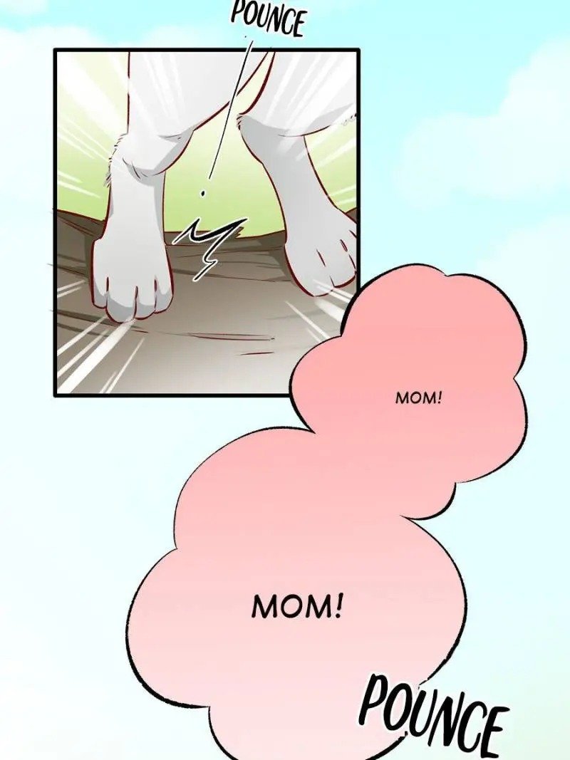 Page 5 of Chapter 91