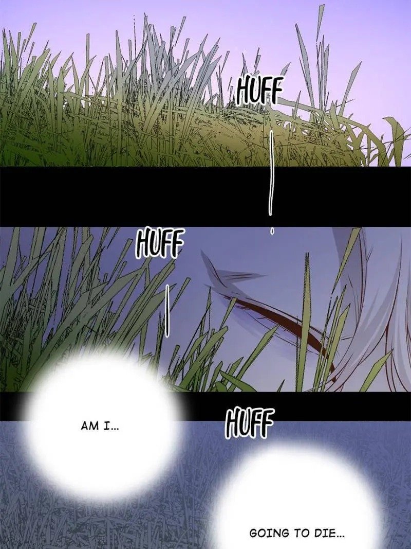 Page 11 of Chapter 91