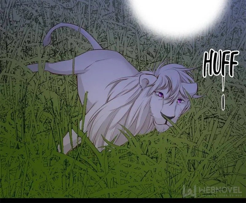 Page 12 of Chapter 91