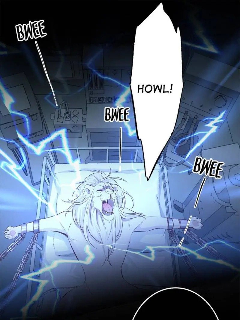 Page 20 of Chapter 91