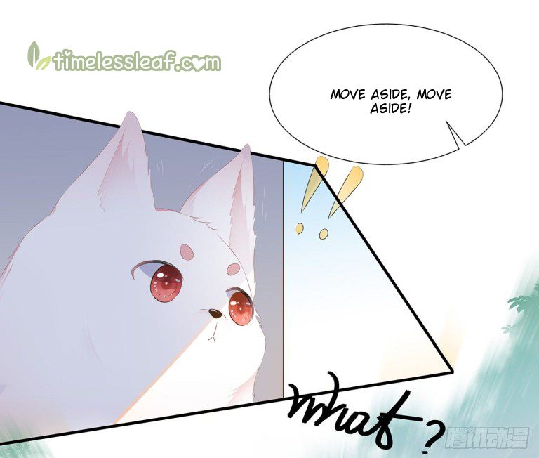 Page 15 of Chapter 1
