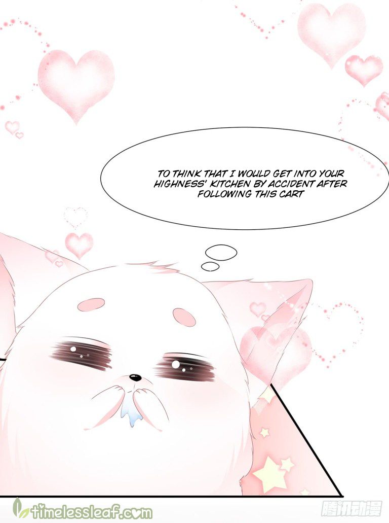 Page 19 of Chapter 1