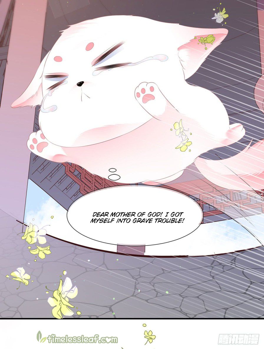Page 5 of Chapter 2
