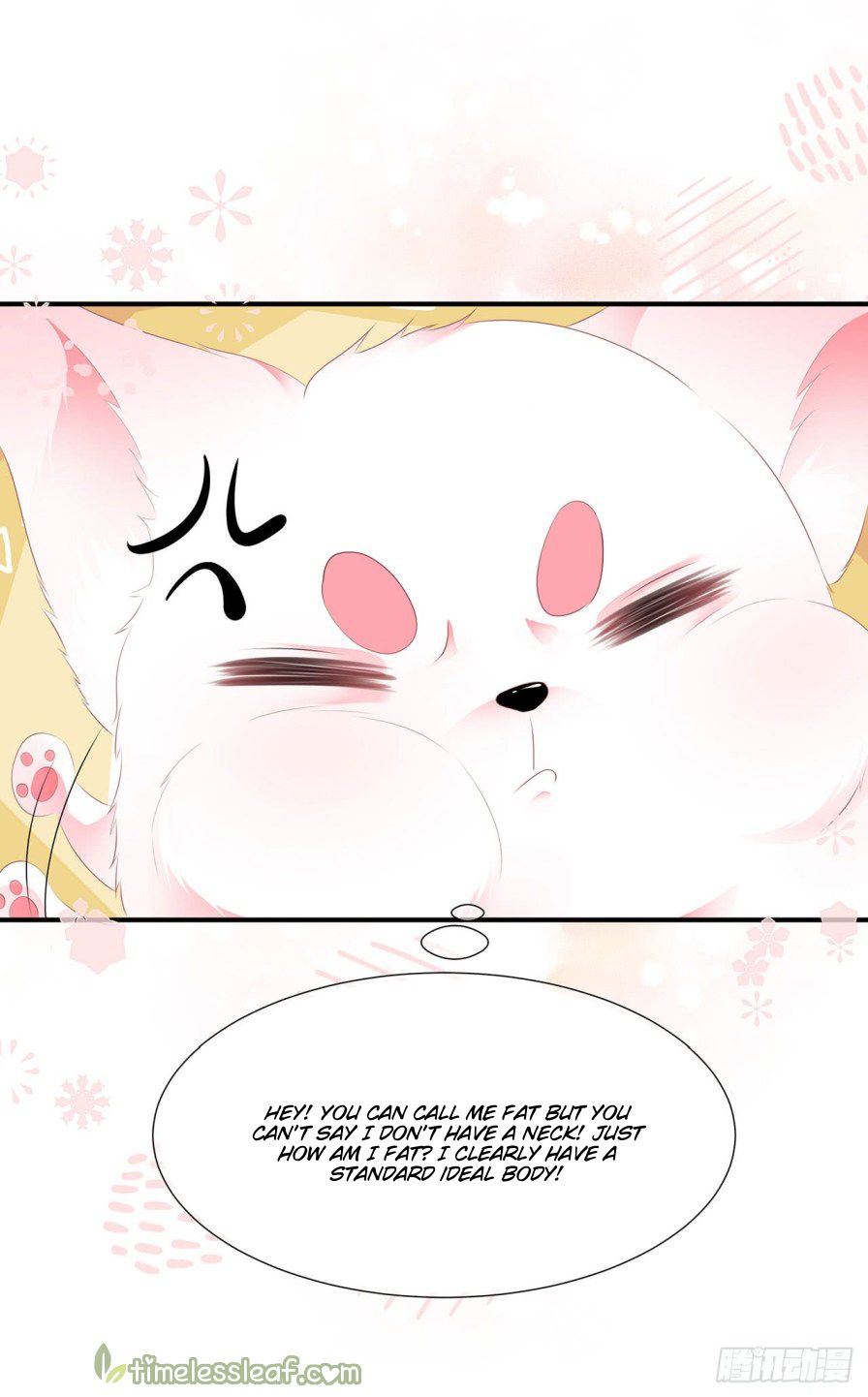 Page 8 of Chapter 2
