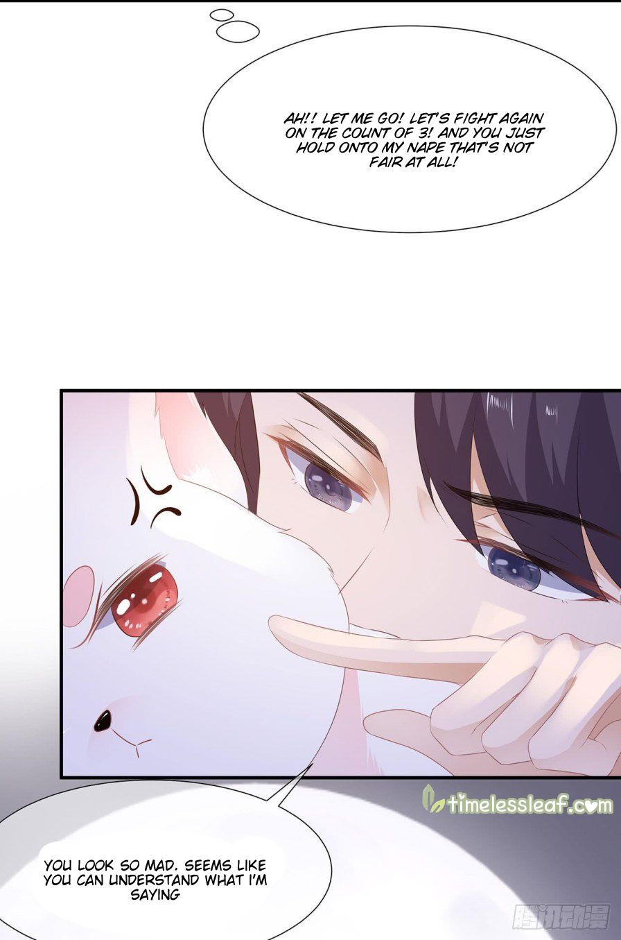 Page 14 of Chapter 2