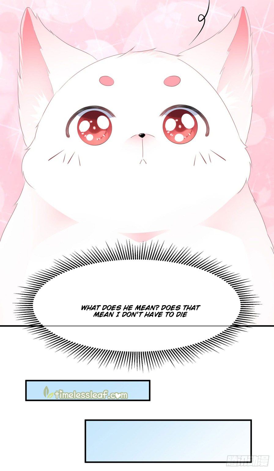Page 19 of Chapter 2