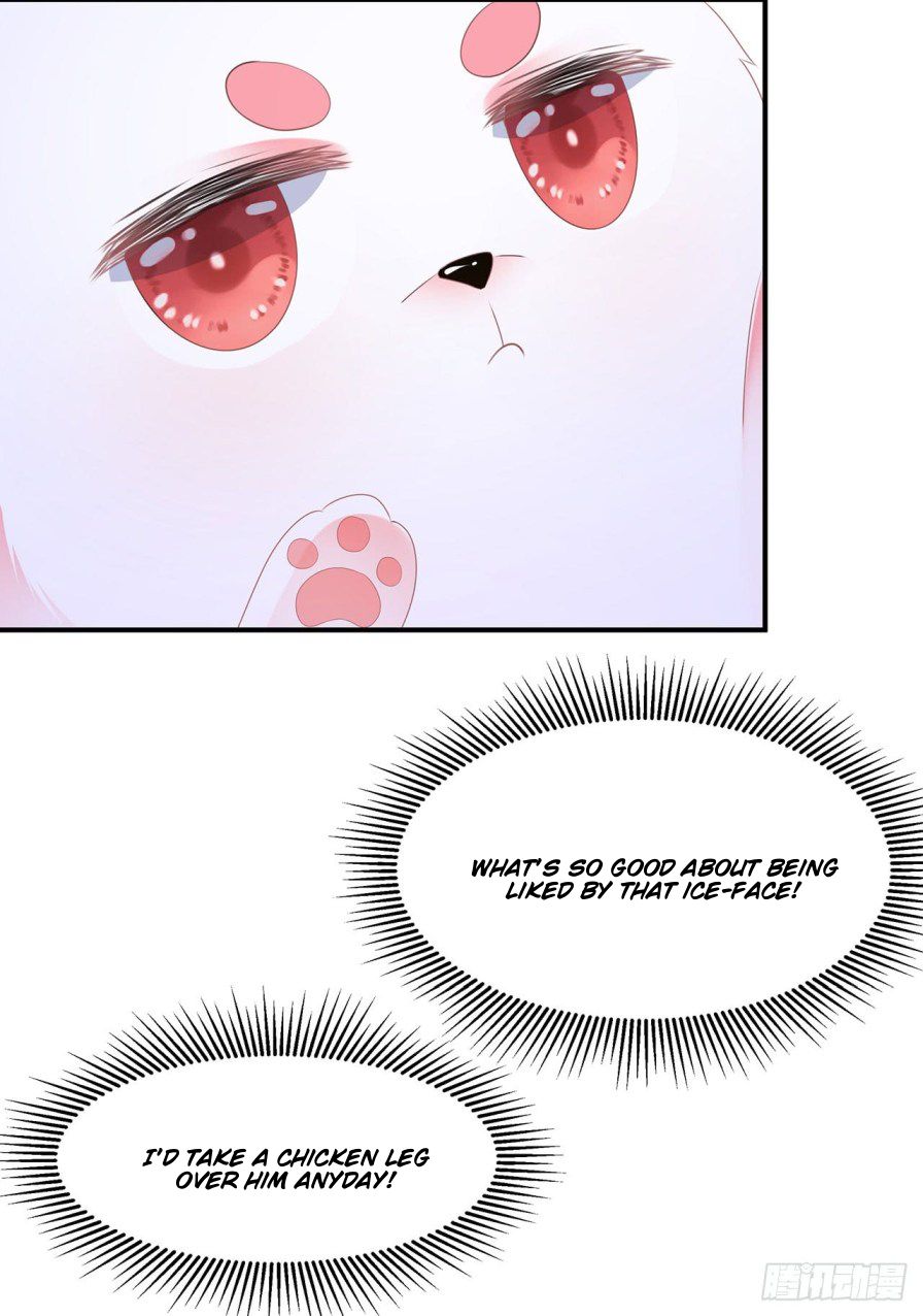 Page 22 of Chapter 2