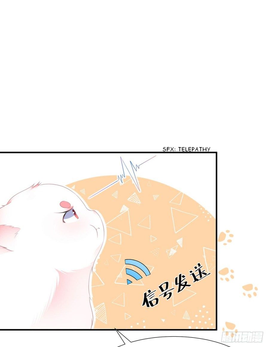 Page 4 of Chapter 4