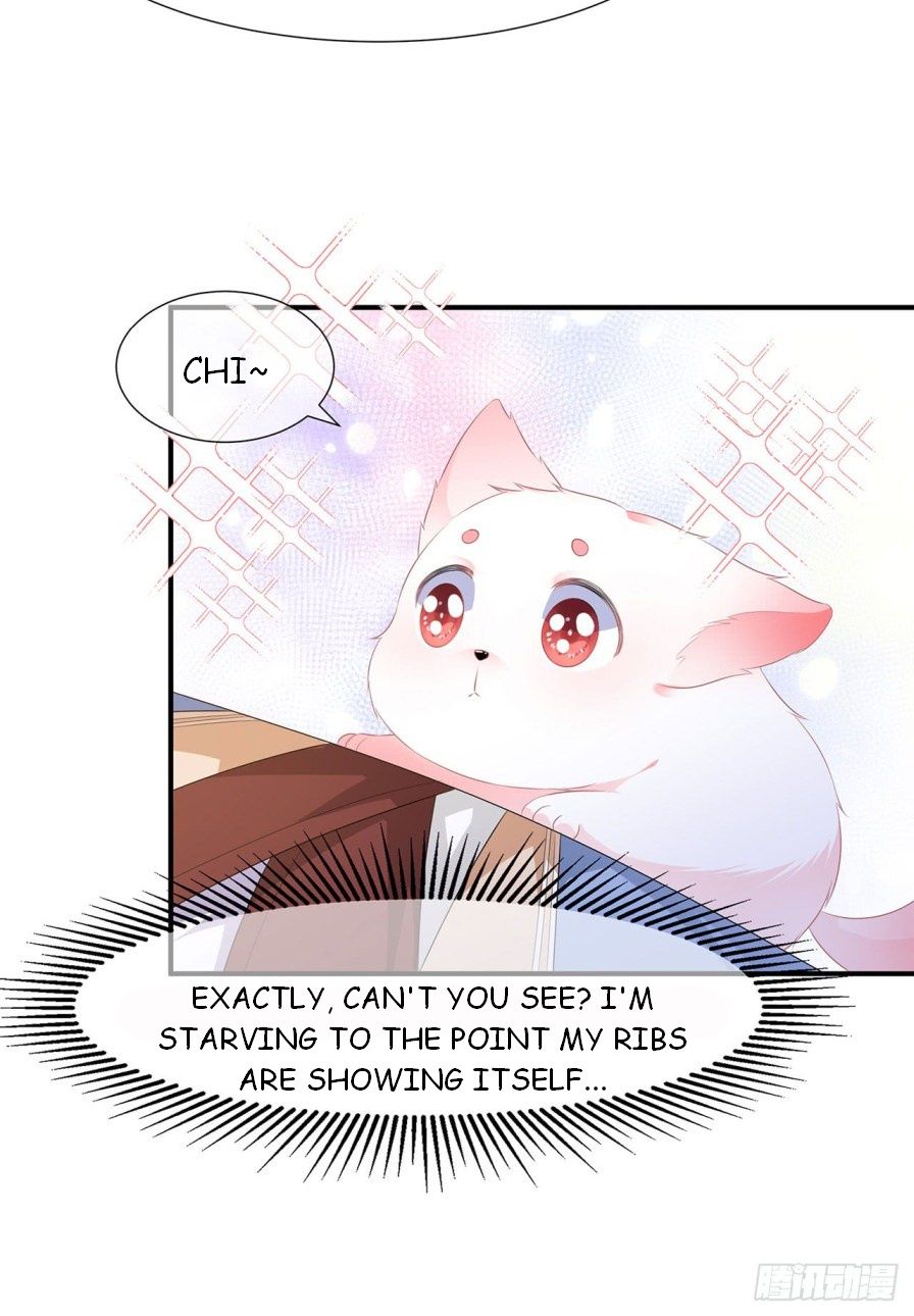 Page 20 of Chapter 4
