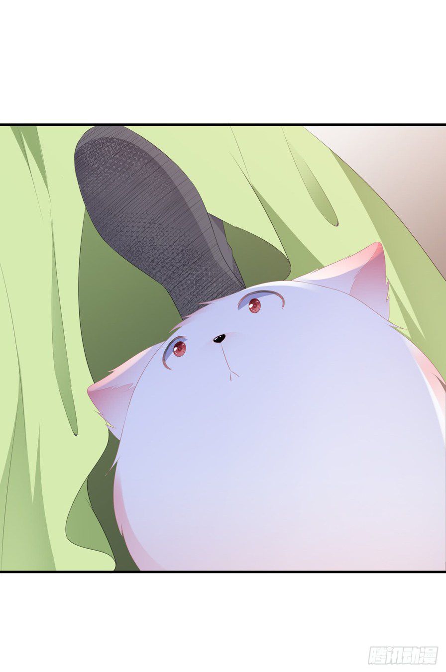 Page 15 of Chapter 7