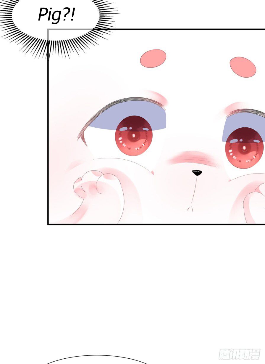 Page 19 of Chapter 7