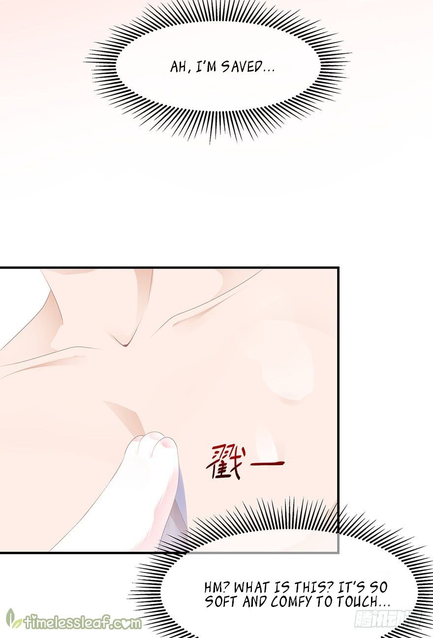 Page 6 of Chapter 8