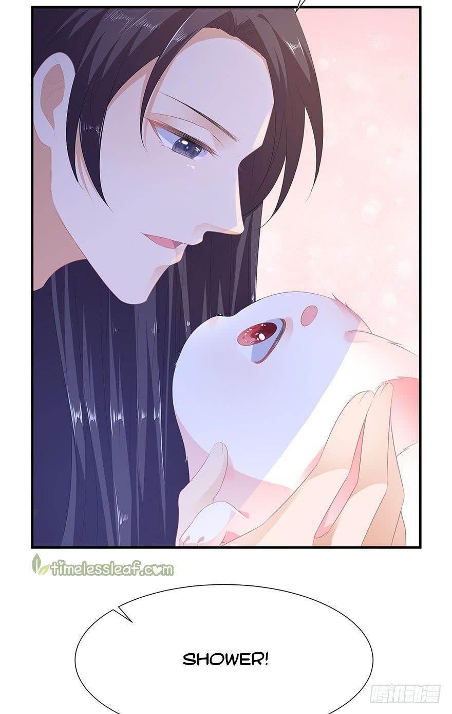 Page 13 of Chapter 8
