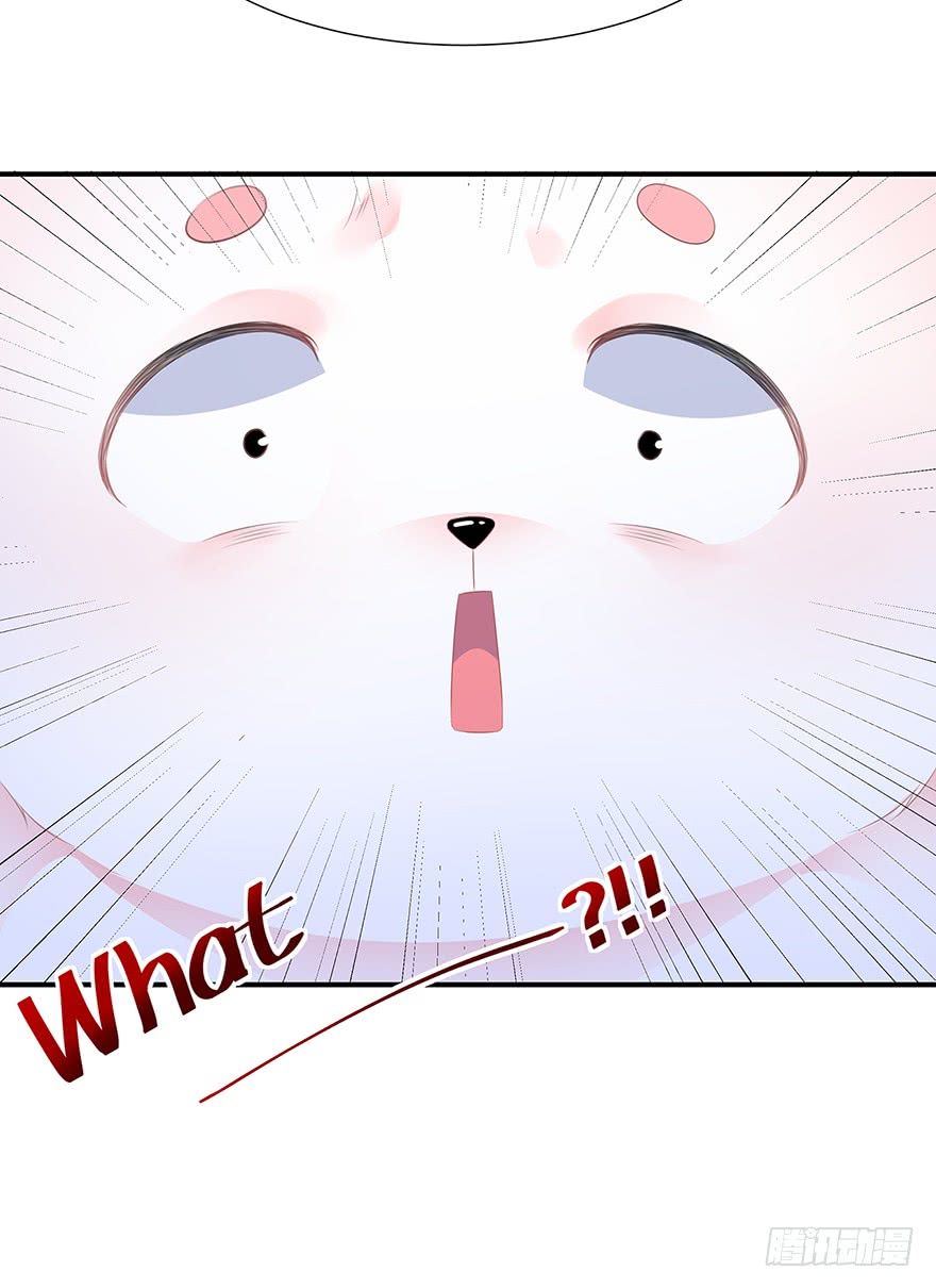 Page 14 of Chapter 8