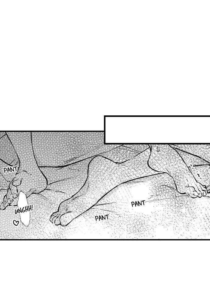 Page 17 of Chapter 11