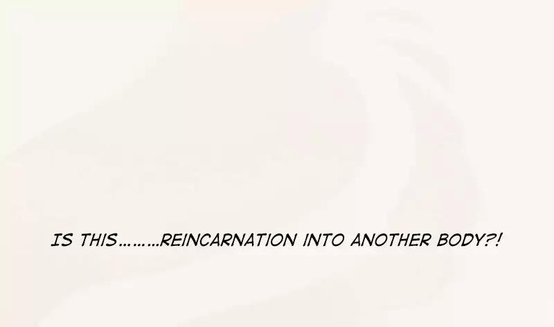 Page 33 of Chapter 1