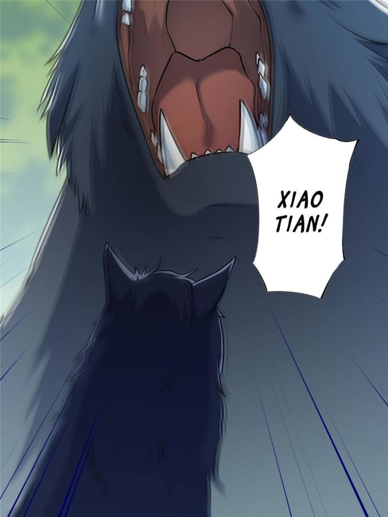 Page 46 of Chapter 153