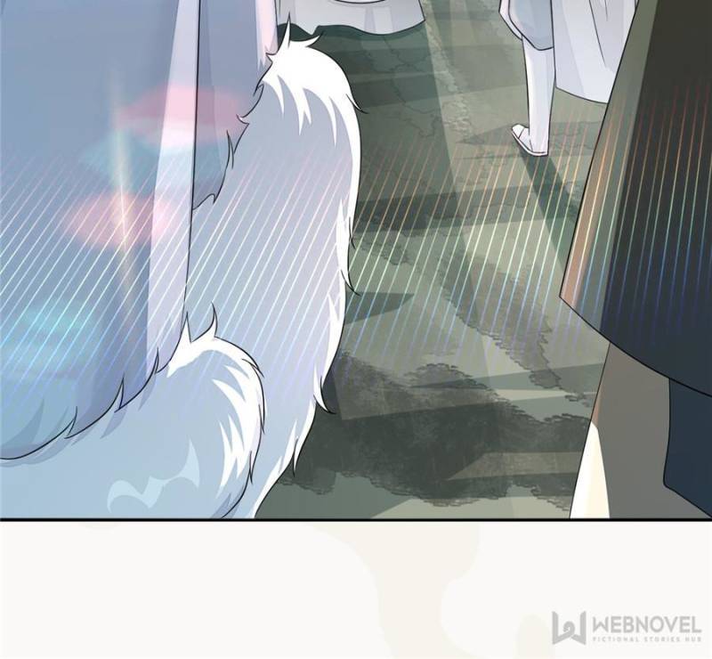 Page 44 of Chapter 169