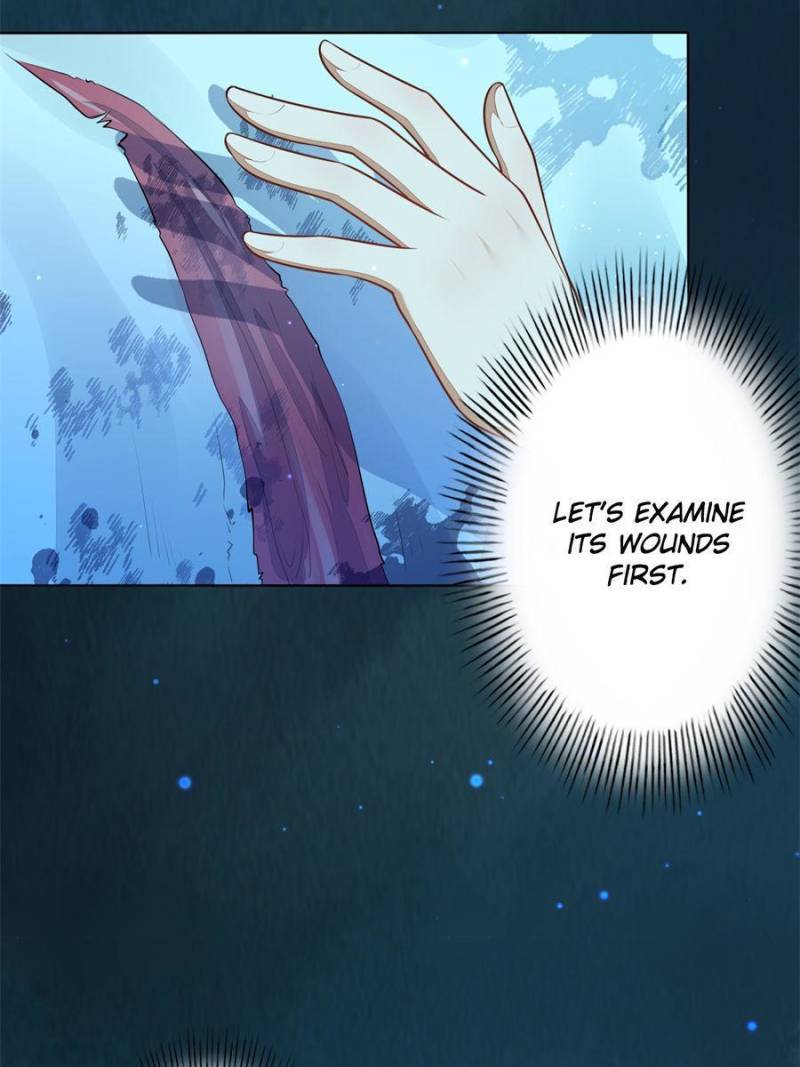 Page 16 of Chapter 158