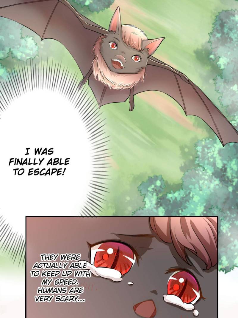 Page 11 of Chapter 33