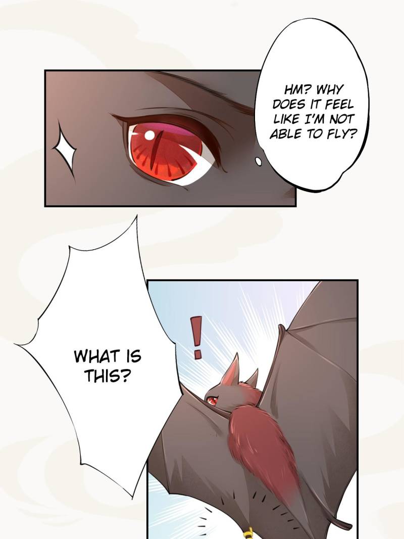 Page 13 of Chapter 33