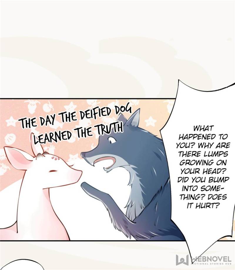 Page 46 of Chapter 51