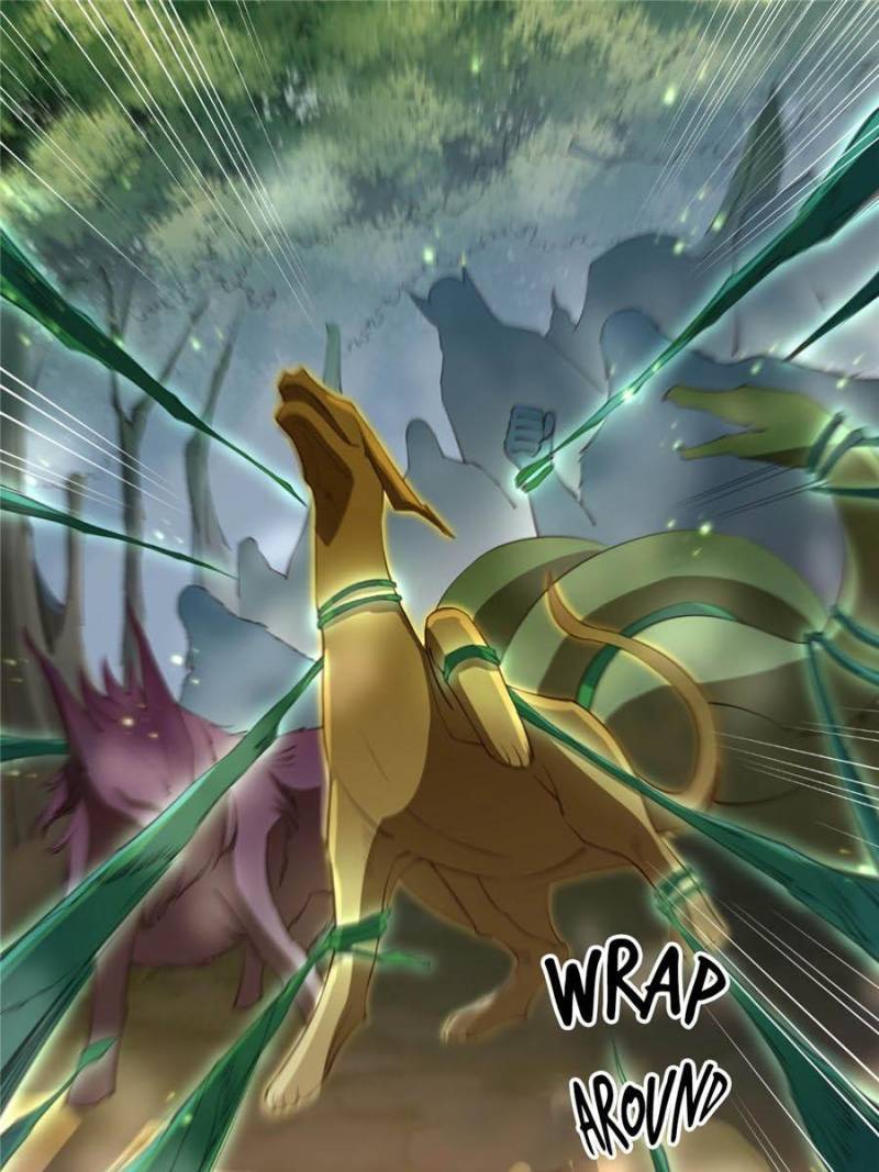 Page 13 of Chapter 82