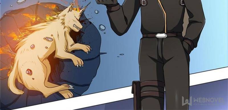 Page 36 of Chapter 11
