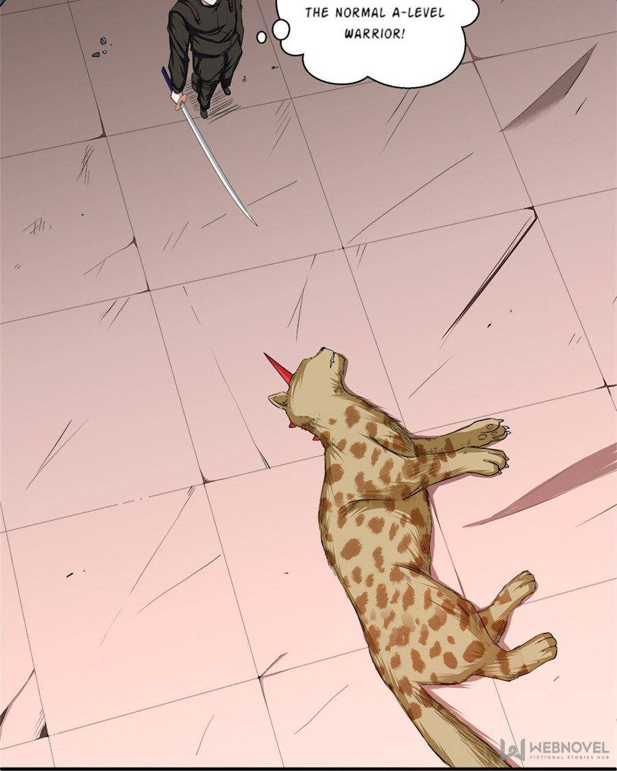 Page 14 of Chapter 40