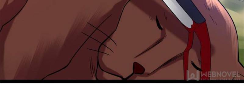 Page 75 of Chapter 62