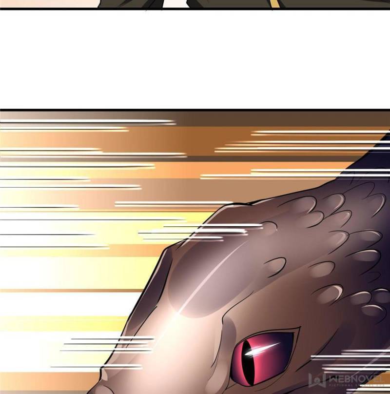 Page 70 of Chapter 74