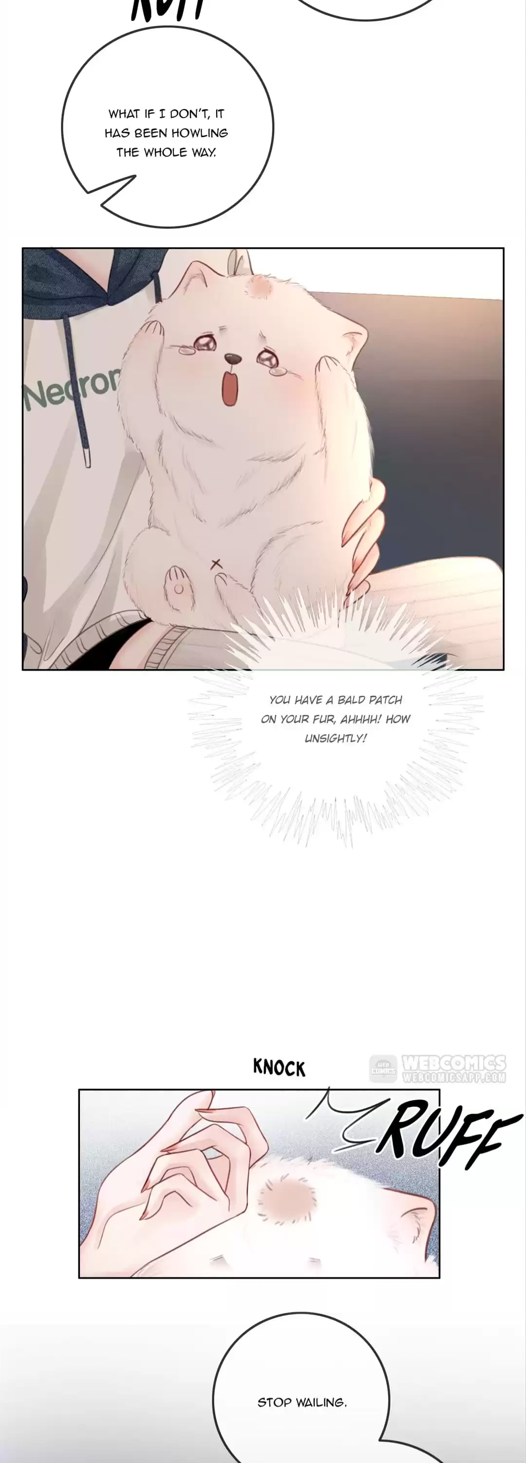 Page 13 of Chapter 22