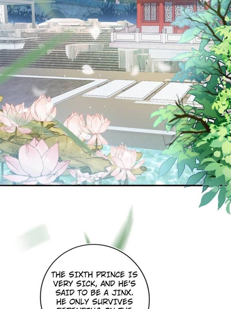 Page 2 of Chapter 81