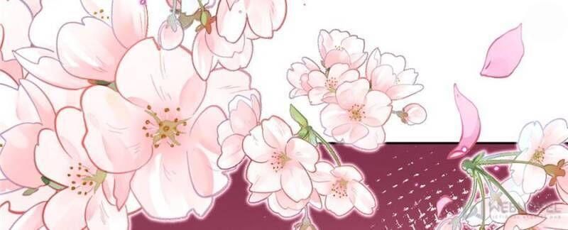 Page 47 of Chapter 97