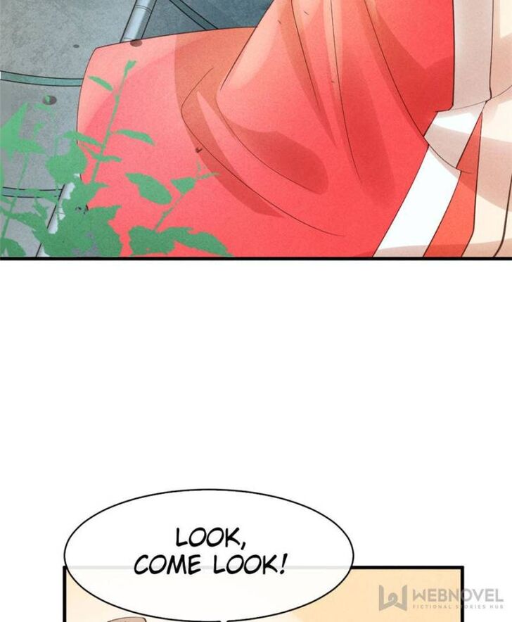 Page 43 of Chapter 2