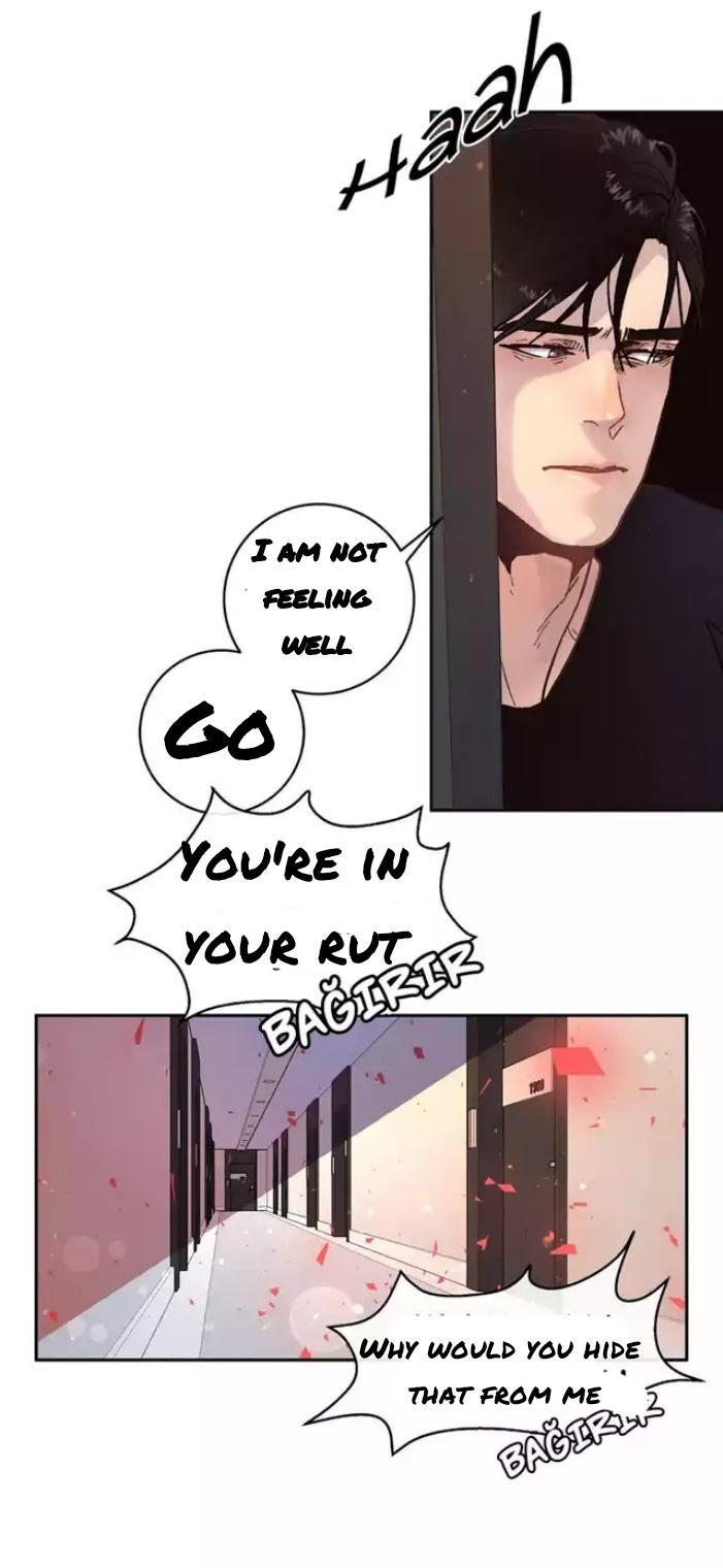 Page 19 of Chapter 52