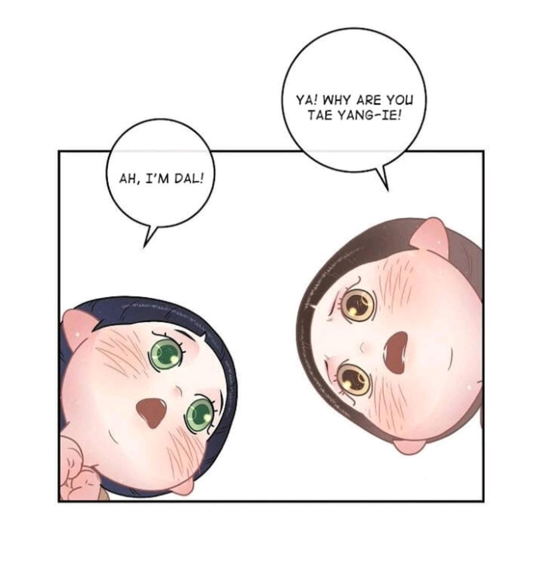 Page 45 of Chapter 68