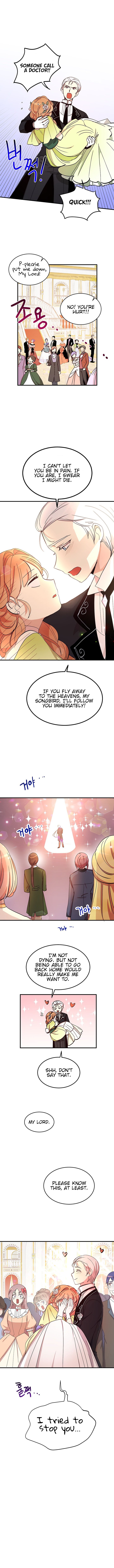 Page 8 of Chapter 19