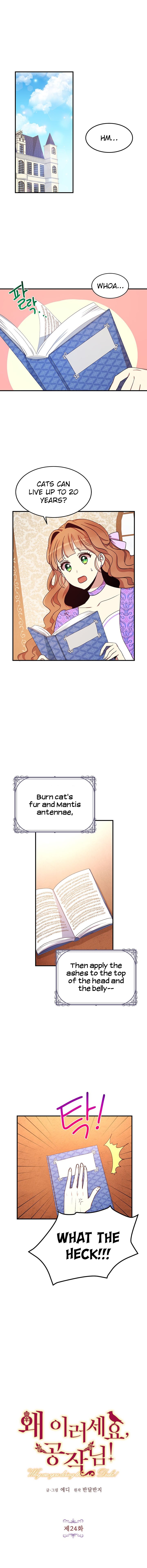 Page 1 of Chapter 24