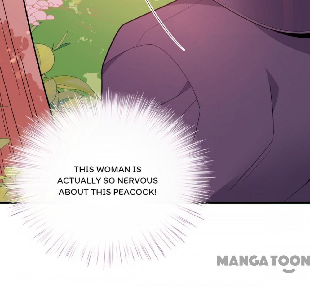 Page 21 of Chapter 58